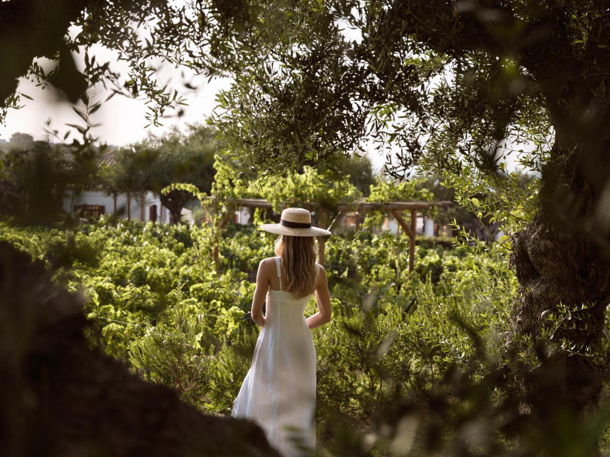 Lesante Cape Resort & Villas - The Leading Hotels Of The World Akrotiri  Esterno foto